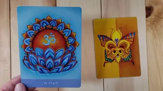 5/13/2024 Daily Energy and Focus Oracle Card Reading @SimplyLiminal-Stacy