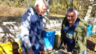 American Beekeeper in Ukraine: Look for Productive Hive of Ukrainian Beekeeper Vasyl Priyatelenko