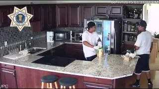 Burglars raid refrigerator