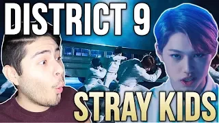 FANBOY REACTS to Stray Kids District 9 MV