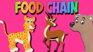 Food Chain Song