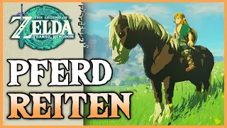 So zähmt und reitet ihr ein Pferd | Zelda: Tears of the Kingdom Deutsch