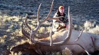 416" Huge Bull Elk Hunt in Utah - Shan Ogden - MossBack