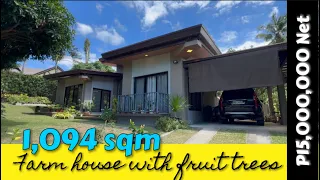 V385-A-24 Leisure farm house and lot 1,094 sqm with fruit trees • retirement home • rest house