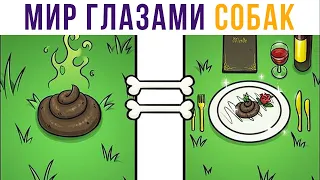 Комиксы. Мир глазами собак | Мемозг #345