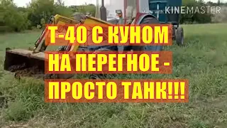 Т-40 АМ с куном на перегное, просто танк!