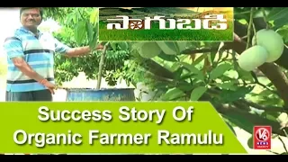 Success Story Of Organic Farmer Ramulu | Jagtial District | Sagubadi | V6 News