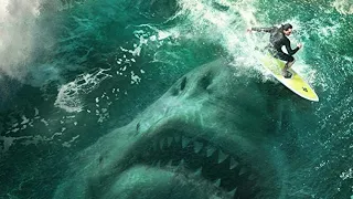 The meg movie hindi  (6/7)clip fight video