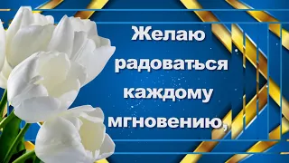 ФУТАЖ #РАДУЙТЕСЬ КАЖДОМУ МГНОВЕНИЮ# БЕСПЛАТНО ДЛЯ ВИДЕОМОНТАЖА#