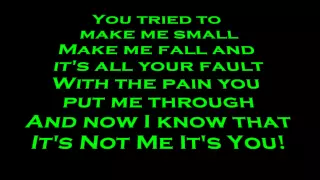 Skillet- It's Not Me It's You Lyrics (HD)