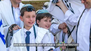 What is Tefillin / Phylacteries?