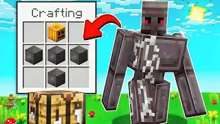 Minecraft But There Are CUSTOM Golems