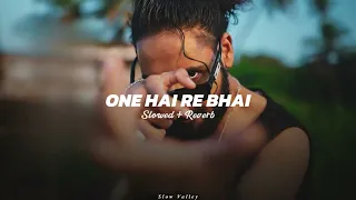 One Hai Re Bhai (Slowed Reverb) - Emiway Bantai