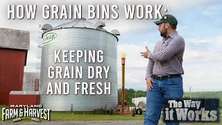 How Grain Bins Keep Crops from Spoiling | Maryland Farm & Harvest