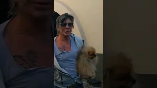 Mickey Rourke Carries His Pet Pooch 🐶❤️