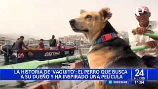 ESPECIAL "VAGUITO" EL PERRITO QUE ESPERA A SU DUEÑO A ORILLAS DEL MAR