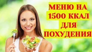 Дневник питания на день. Меню для похудения на 1500 ккал