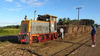 Fiji, Nadi sugar cane train