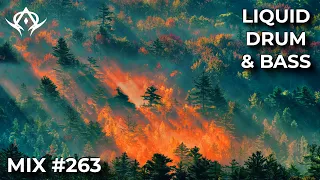 Liquid Drum and Bass Mix 263