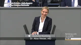 Best of Bundestag 96. Sitzung 2019