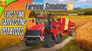 Harvesting Potatoes with Quadtrac  and 1050 vario | Farming Simulator 20 Timelapse gameplay fs20