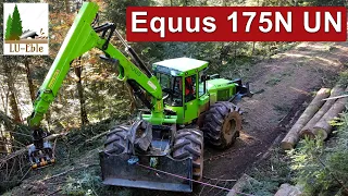 Equus 175N UN im Schwarzwald | Starkholz | Forst- und Baggerservice Dieterle