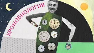 Хронобиология - Доктор Комаровский