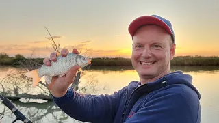 Рыбалка в устье реки Кубань - прямой эфир!