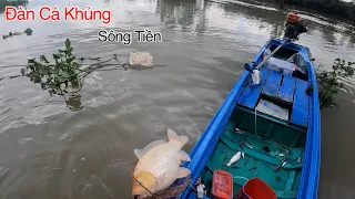 Hốt Đàn Cá Khủng Trên Sông Tiền Khi Thủy Triều Xuống | Kích Cá Miền Tây | Catch Fish