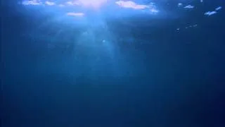 Underwater (FREE Video Background 1080p)