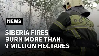 In Siberia, wildfires burn more than 9 million hectares | AFP