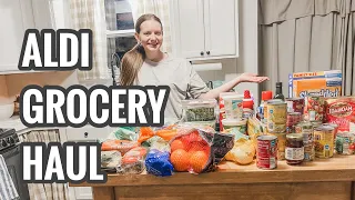 ALDI Grocery Haul 2024 | Cutting Down Our Grocery Budget