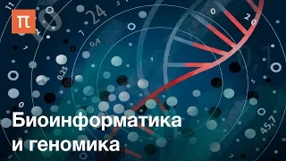 Биоинформатика и геномика — курс Михаила Гельфанда