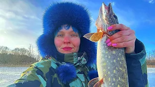 TWO DAYS ON THE LAKE. Winter fishing. Braslav. BATH ON ICE. #424
