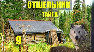 20 ЛЕТ в ЛЕСУ ОТШЕЛЬНИК на КЛАДБИЩЕ ДЕТЕКТИВ ЖИЗНЬ в ТАЙГЕ ИСТОРИИ из ЖИЗНИ в ЛЕСУ СЕРИАЛ 9