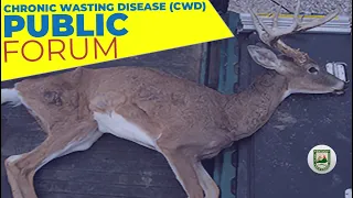 CWD Forum Video