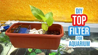 Create a Unique DIY Top Filter for Your Aquarium with a Flower Pot!