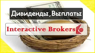 Выплата дивидендов в  Interactive Brokers
