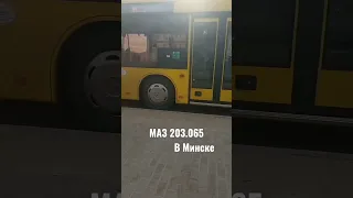 МАЗ 203 #маз #youtubeshorts #bus #минск