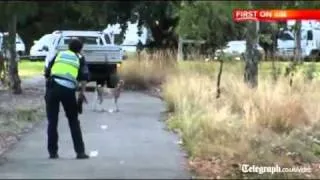 Wandering goat gives Australian police the runaround in Melbourne