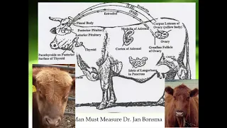 2019 NDGLC Steve Campbell "Three Keys to Easy Keeping Cows"