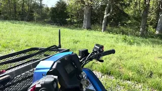 Bull stampede cattle drive to next farm works perfectly.