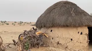 Village Life Punjab