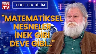 Matematik bir icat mıdır, bir keşif midir? Prof. Dr. Ali Nesin yanıtladı