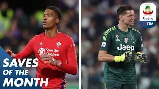 Lafont And Szczęsny Incredible Saves | Saves Of The Month | November | Serie A