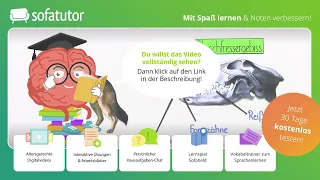 Der Hund ein Säugetier – Definition & Merkmale