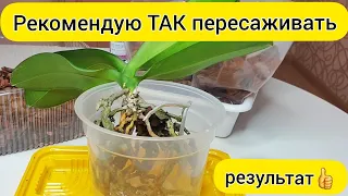 ПЕРЕСАДКА ОРХИДЕИ / Рекомендую так ПЕРЕСАЖИВАТЬ орхидею и САДИТЬ орхидею в КОРУ