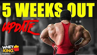 JOVEN SAGABAIN 5 WEEKS OUT PRO BODYBUILDING PREP!