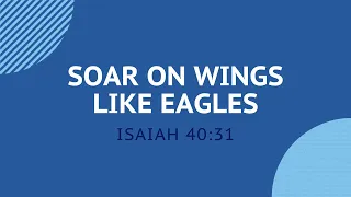 Soar on Wings Like Eagles - Daily Devotion