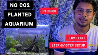 Simple Low Tech Planted Aquarium | No Co2 Planted Tank | Easy Step by Step | In Hindi -2022